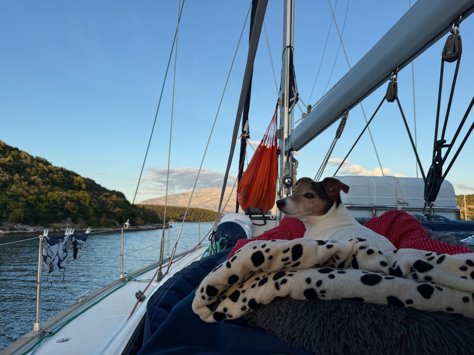 Lennox liegt unter einer Pfotendecke in seinem Bett an Deck, dahinter eine Hängematte und Berge