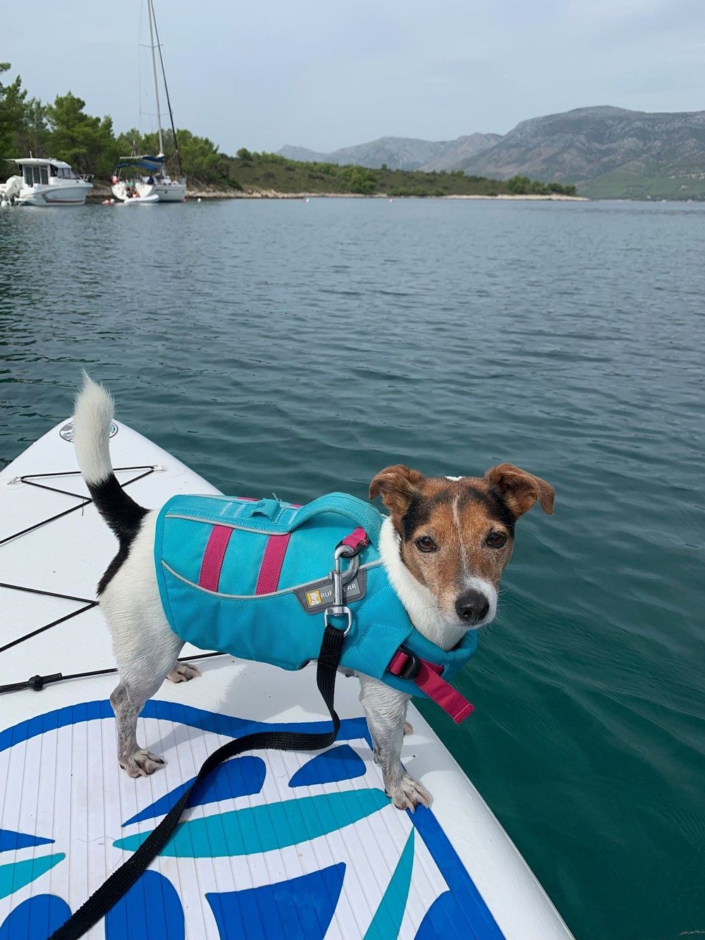 Lennox in türkiser Schwimmweste mit Leine auf einem SUP, dahinter Boote vor Anker und Berge