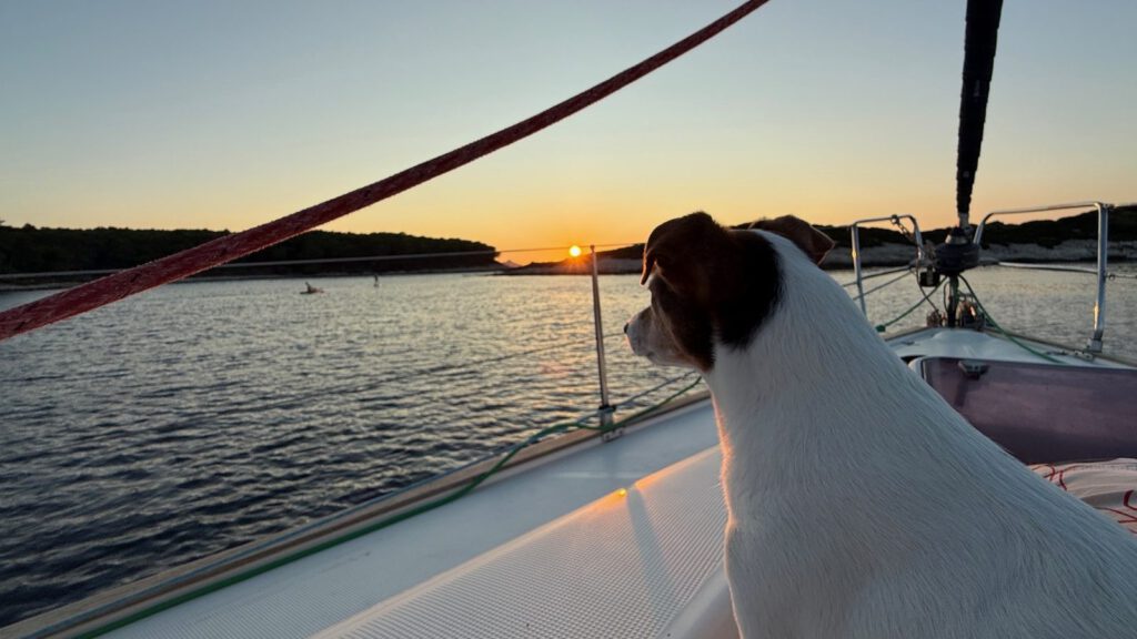 Lennox steht am Bug einer Yacht und schaut in die untergehende Sonne über einer Bucht